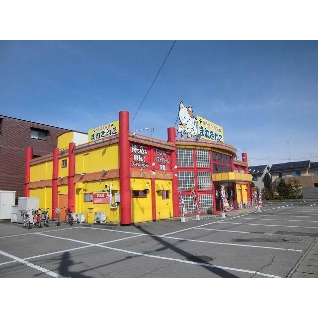 　カレント　Ⅲ　 まねきねこ宇都宮岡本店