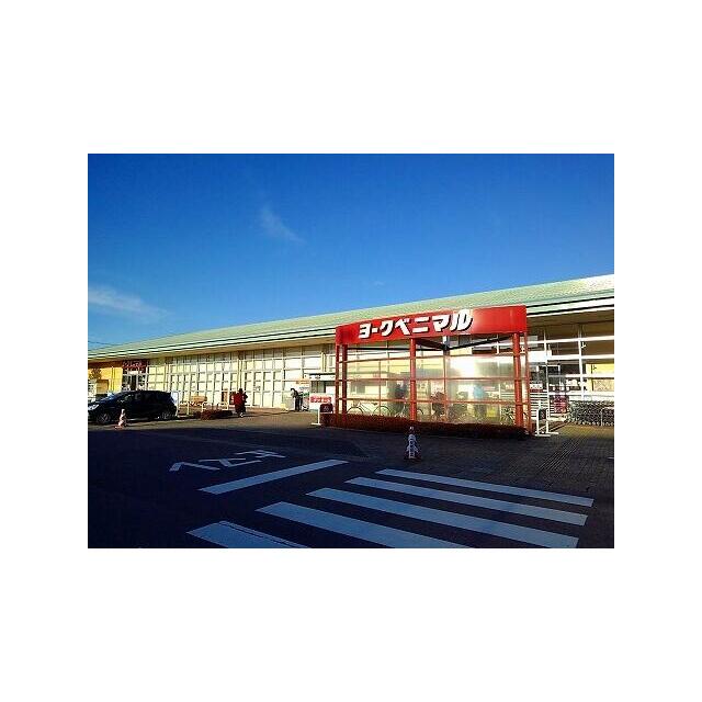 　アヴィオン　ディス　 ヨークベニマル大田原店