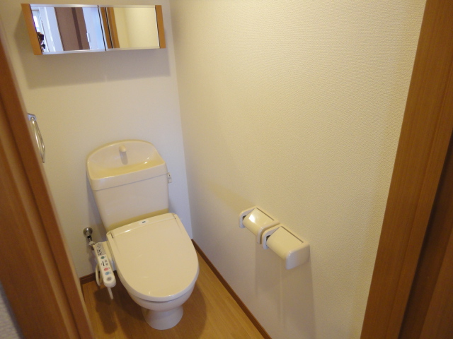 アイリスコート トイレ全体