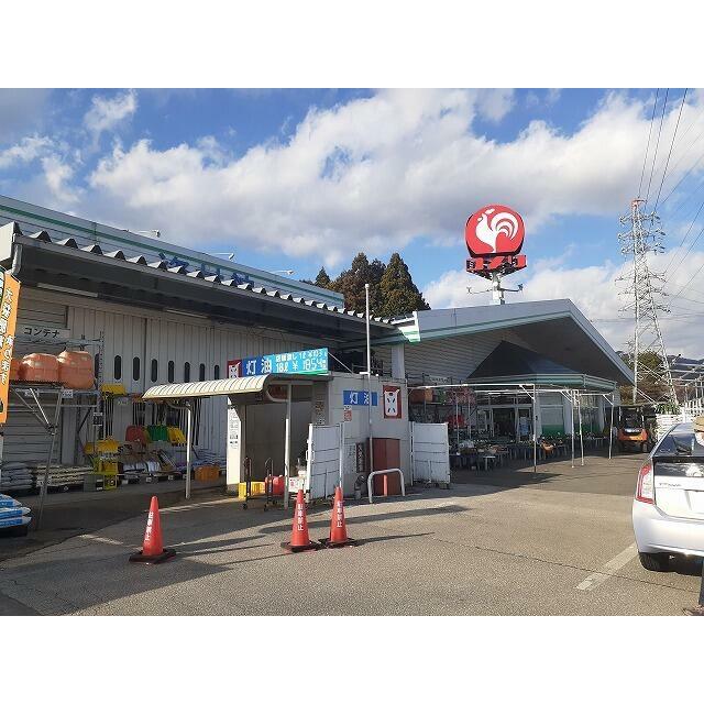 　プリムローズ　参番館 コメリ藤原店