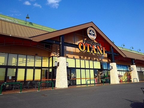 レヂデンス岡野 オオタニ永田店まで950m