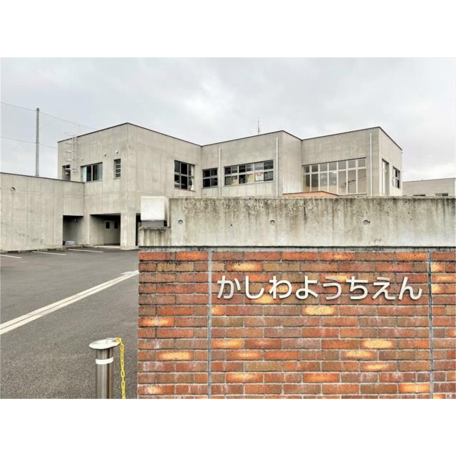 　フォレスト・フェロー　 かしわ幼稚園