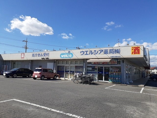 リンデンハウス ウエルシア宇都宮清原台店まで3500m