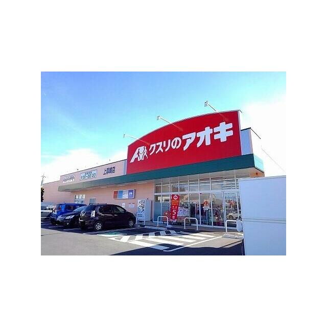 　キングダム Ｃ棟　 クスリのアオキ上厚崎店