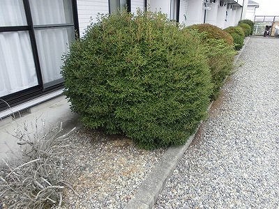 　高根沢２番館 こちらの物件はMODE不動産なら割引対象の１部屋です。