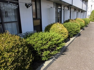高根沢１番館 その他