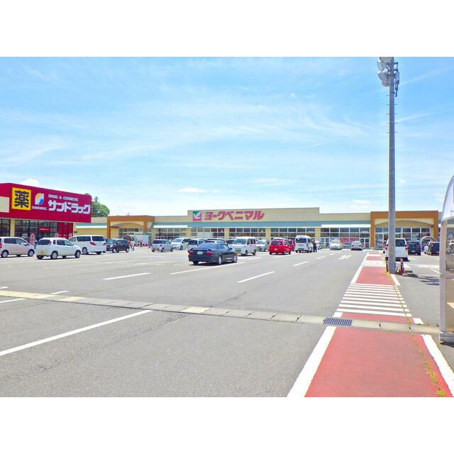　鹿島町ハイツ　 ザ・ダイソーヨークタウン矢板店