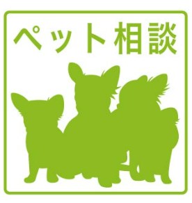 　サカモトハイツ　C棟 こちらの物件はMODE不動産なら割引対象の１部屋です。