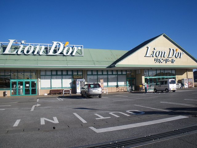ドリームハイツＢ リオン・ドール高根沢東店まで510m
