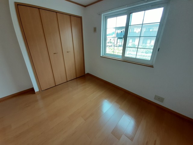 プラシードＢ その他