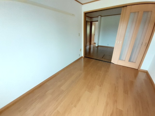プラシードＢ その他