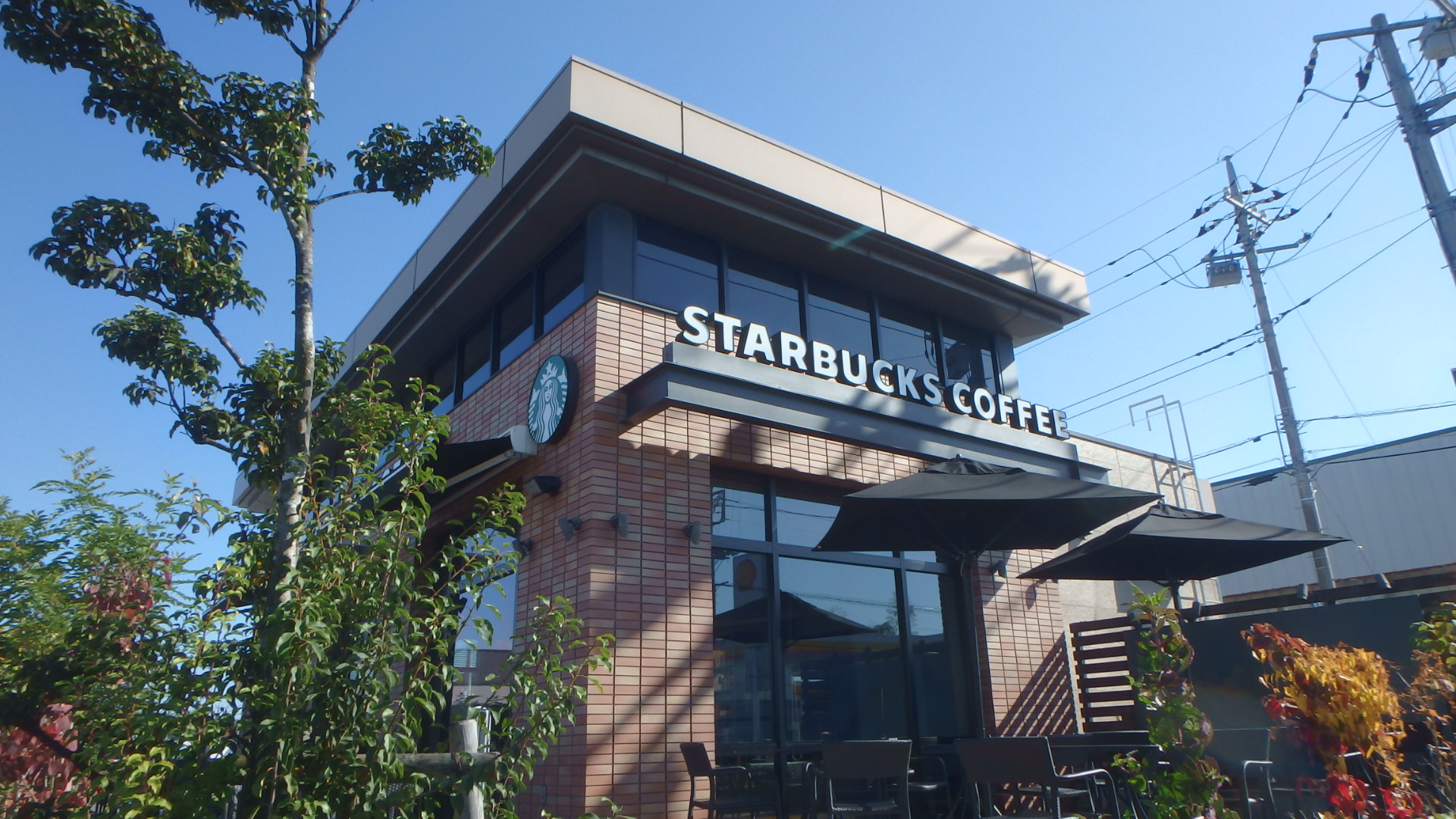 Ｙ＆Ｍルフォン ｽﾀｰﾊﾞｯｸｽｺｰﾋｰ 宇都宮上戸祭店