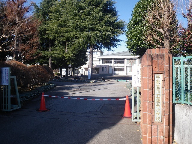 グリーンフェスト 細谷小学校まで1000m