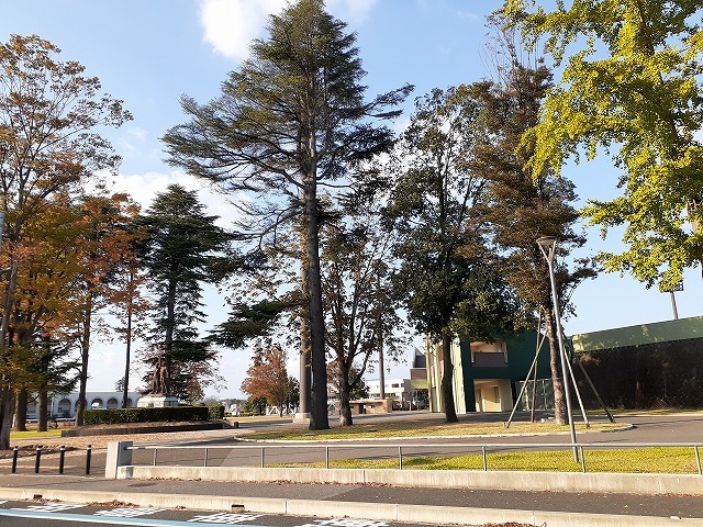 ヴィラ・プリムローズ 栃木県総合運動公園まで900m