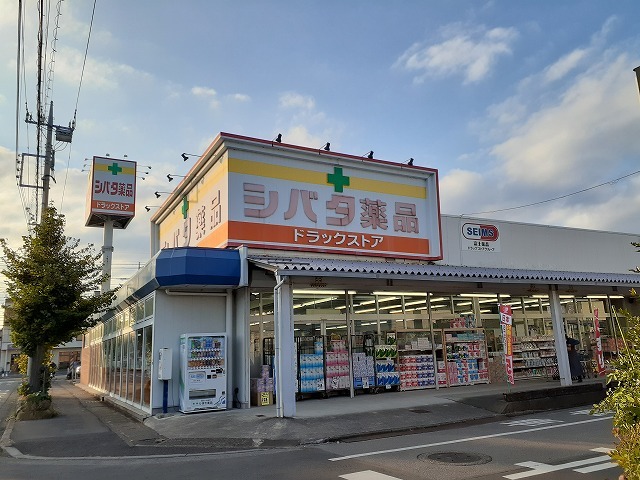 アザレヤハイツＣ シバタ薬品住吉店まで500m