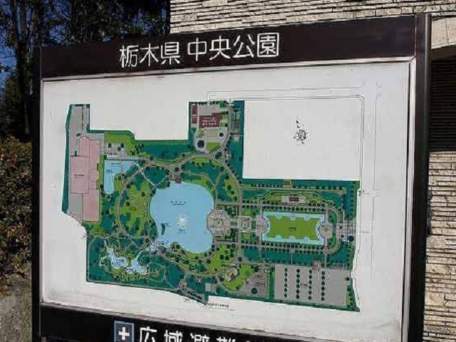 エルサティⅠ 中央公園まで400m