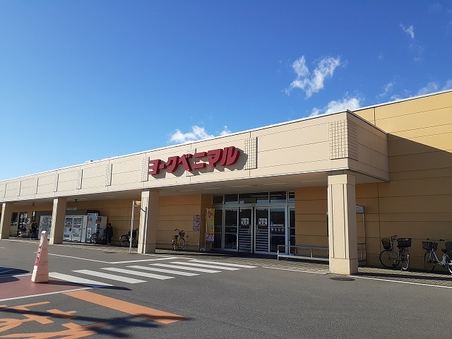 ネオ　エレガンスＢ ヨークベニマル若松原店まで1000m