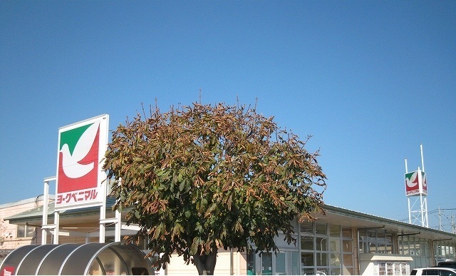 フレーズⅡ ヨークベニマル西川田店まで2100m