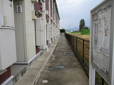 レオネクストひまわり その他