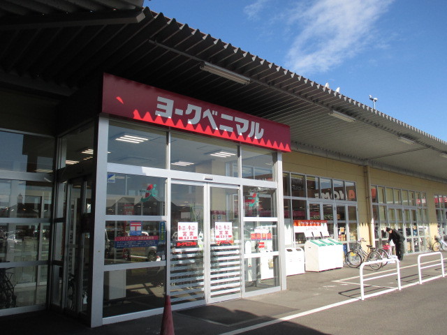 シャンドフルールＡ ヨークベニマル睦町店まで400m