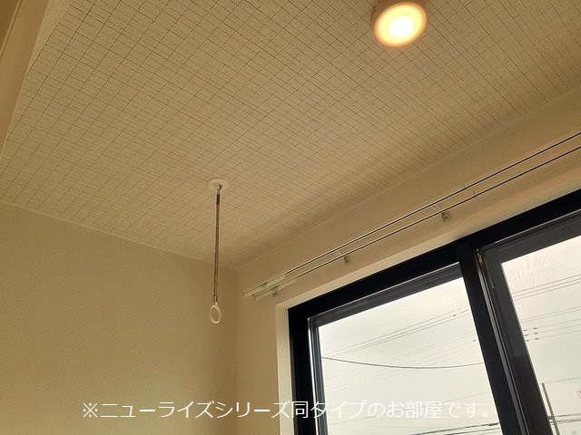 サザンクロス その他