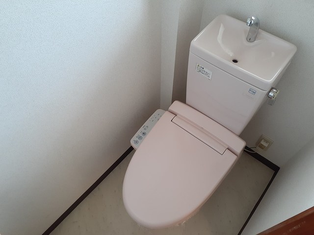 グレースヒルズⅡ トイレ