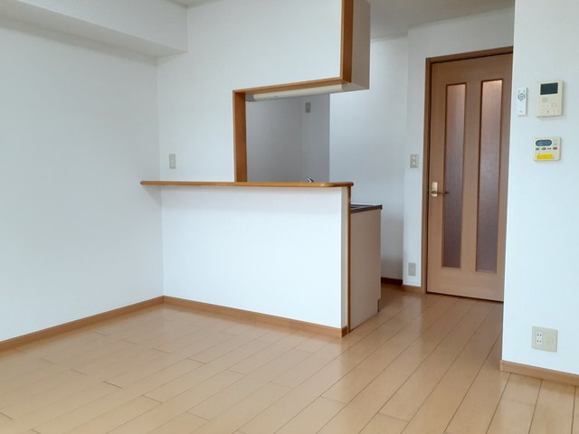 デスパシオ　Ａ その他