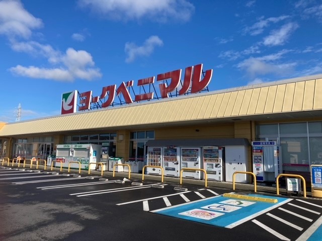 ＲＡＹ　ＳＨＥＬＬ ヨークベニマル 鹿沼店まで1400m