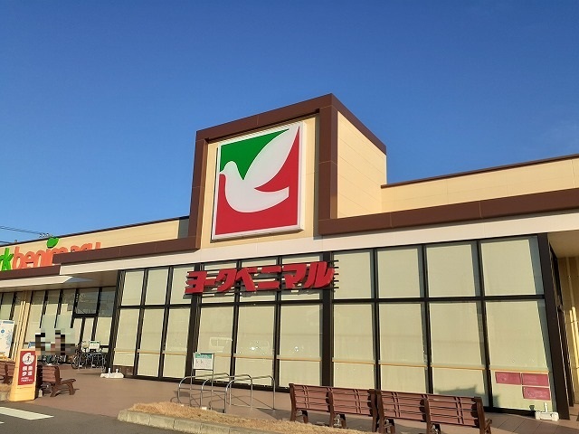 プレーザントハウスＥ ヨークベニマル 鹿沼上殿町店まで900m