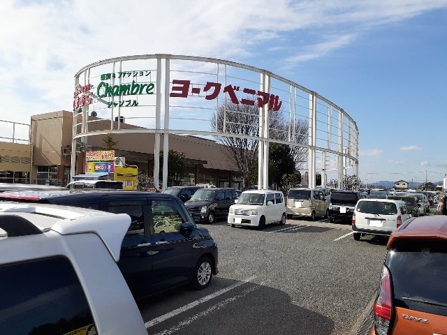 アベニール ヨークベニマル石橋店まで1000m