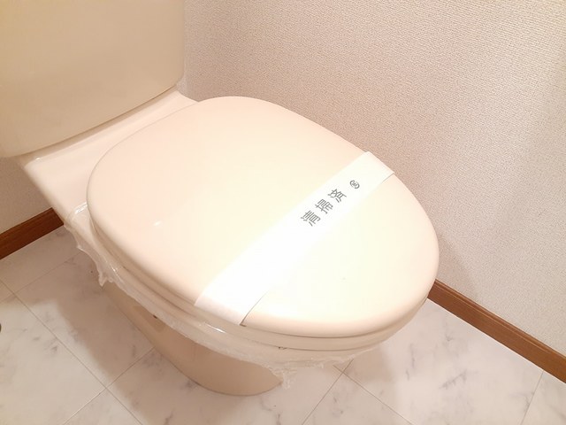 ＮＡＲＡＢＵＣＨＩ３１３－Ｓ トイレ