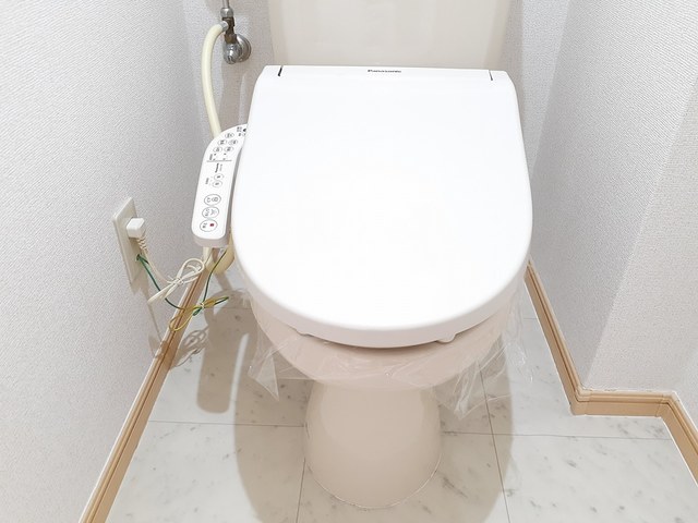 ハイツティージーエム トイレ