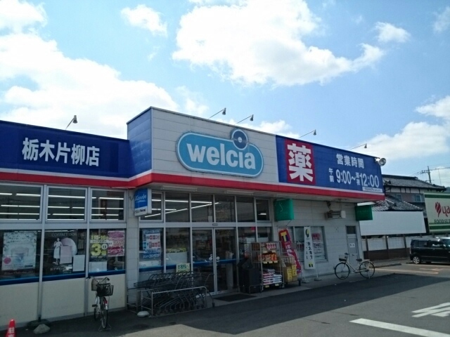 シティハイツ高岩Ｂ ウエルシア栃木片柳店まで800m