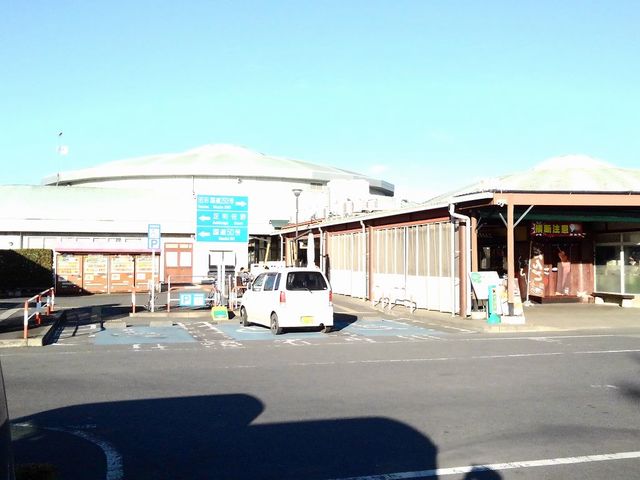 サンライト　プリティー どまんなかたぬままで2300m