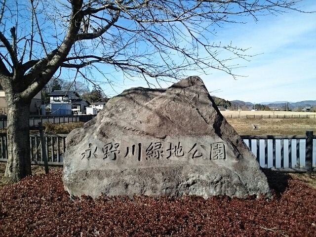 ラ・ルーチェＡ 永野川緑地公園まで800m