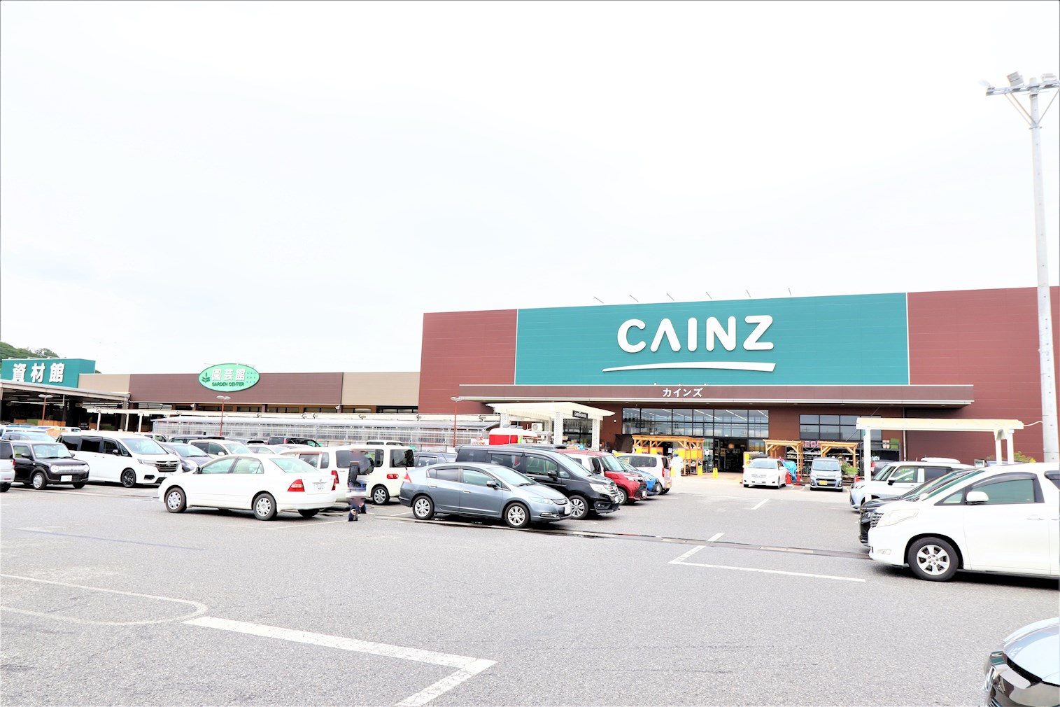 スイートピー ｶｲﾝｽﾞﾎｰﾑ 大平店