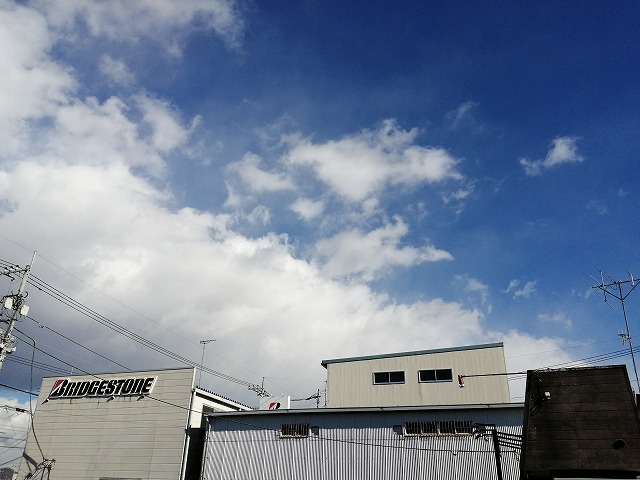 レオネクスト雪月花Ⅰ その他