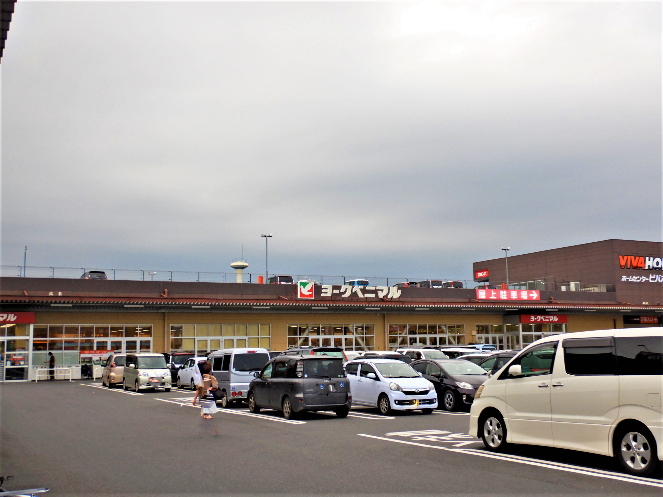 BREEZE  TERRACE（ブリーズテラス）  C ﾖｰｸﾍﾞﾆﾏﾙ鹿沼睦町店