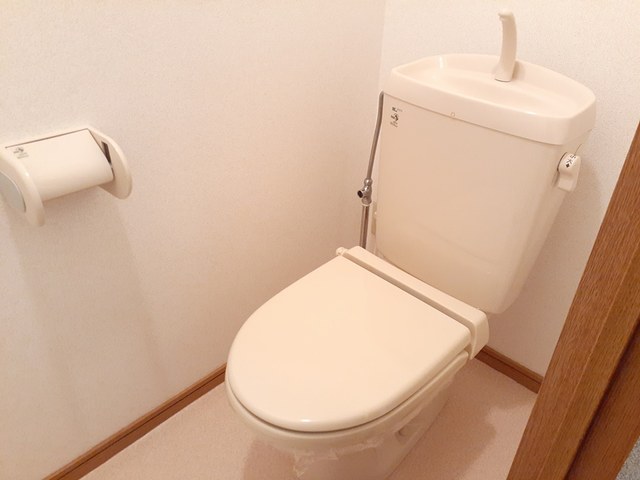 アーバンハイツ岩崎Ｄ トイレ