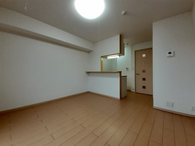 エクセルコートⅠ その他