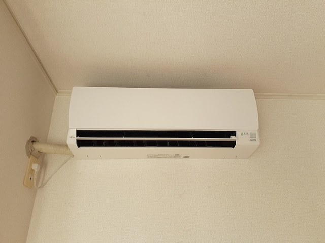 グリシーヌ その他