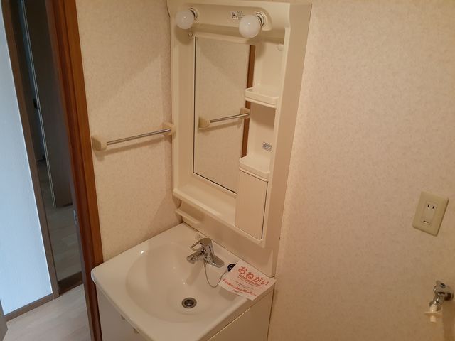 グリーンガーデン 洗面所